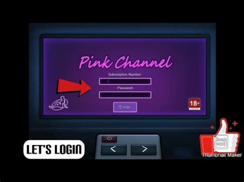 pink and black chanel|echannel login.